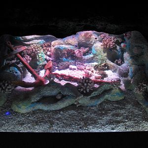 Shipwreck - Fifth Exhibit