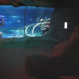 Ocean View - Viewing Area