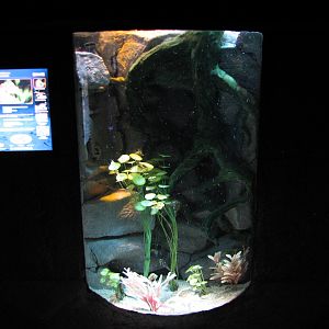 Temple of the Seahorse - First Exhibit