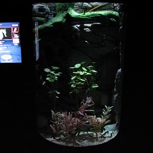 Temple of the Seahorse - Third Exhibit