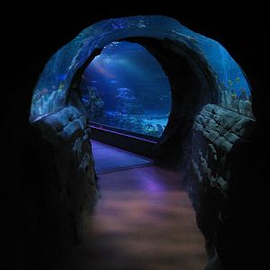 Ocean Tunnel