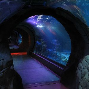 Ocean Tunnel