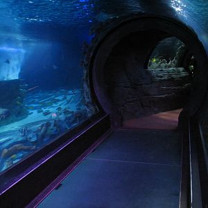 Ocean Tunnel