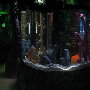 SEALIFE Conservation - First Exhibit