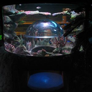 SEALIFE Conservation - Second Exhibit