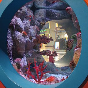 Playzone - Sergeant Major Exhibit