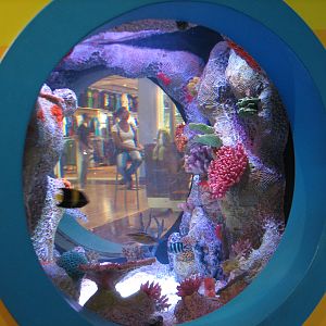 Playzone - Longhorn Cowfish Exhibit