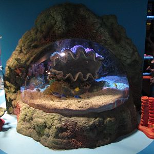 Playzone - First Exhibit