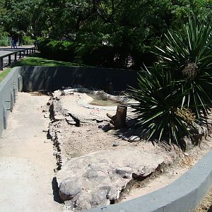 Coypu exhibit