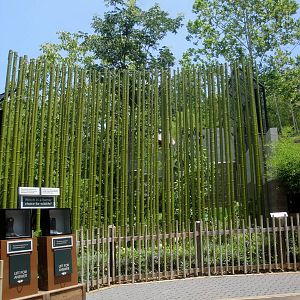 Tiger Exhibit Barrier