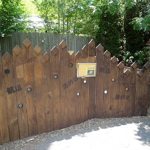 Burmese Star Tortoise Exhibit