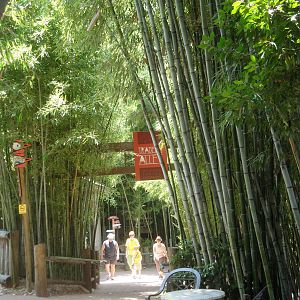 Trader's Alley Entrance