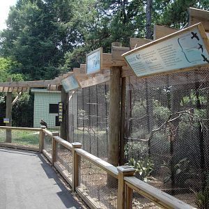 Aviaries Across from the Elephant Barn