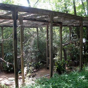 Mixed-species Bird Exhibit