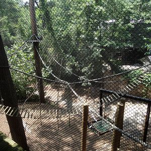 Lemur Exhibit
