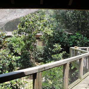 Living Treehouse Aviary