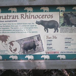 One of a kind Signage Example