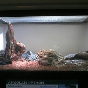 Reptile House- Angolan Python exhibit