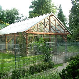 Ratite Housing at Vogelpark Leopoldshafen, 03/09/10