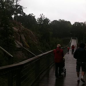 110725 Amur Tiger enclosure