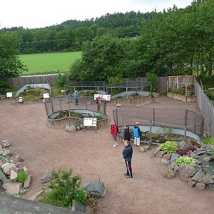 110725 View over the amphibian section