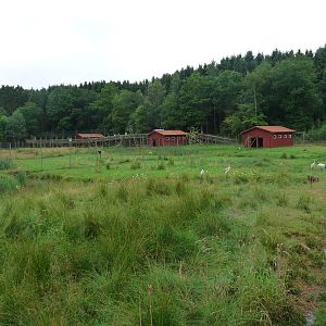 View over the stork, crane & goose enclosures