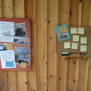 Otter exhibit take action station