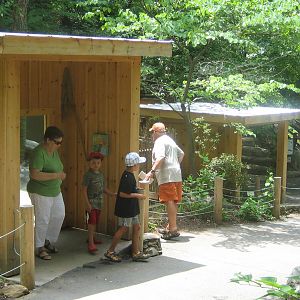 otter exhibit viewing area
