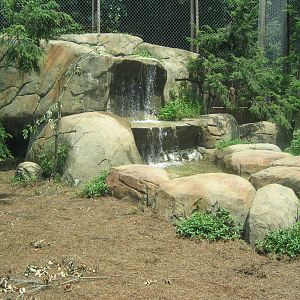 view of the cougar exhibit waterfall