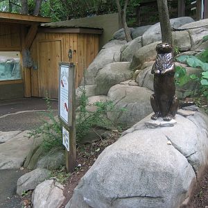 lower view of otter exhbit
