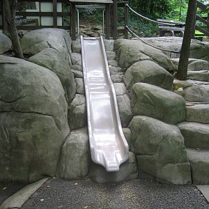 slide at the otter exhibit