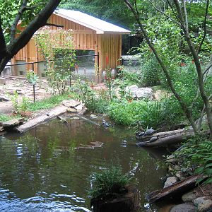 turtle pond