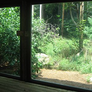 view into bobcat exhibit