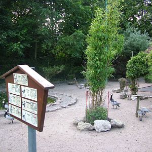 Waterfowl Paddock at Vogelpark Heddesheim, 06/09/10