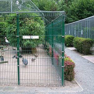 General View at Vogelpark Heddesheim, 06/09/10