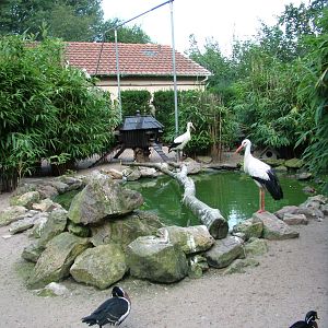 Central Aviary at Vogelpark Heddesheim, 06/09/10