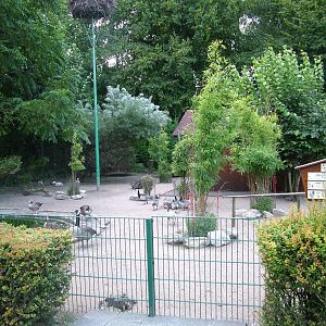 Waterfowl Paddock at Vogelpark Heddesheim, 06/09/11