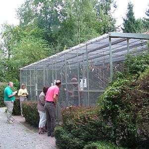 Aviaries at Vogelpark Heddesheim, 06/09/11