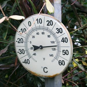 Hot days at Tropical World