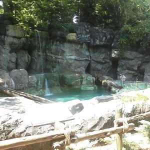 Kroger Lords of the Arctic- First Polar Bear exhibit