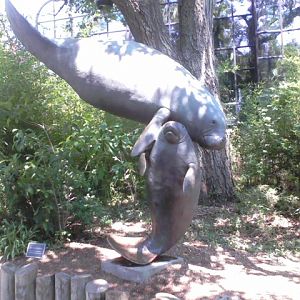 Manatee Springs Sculpture