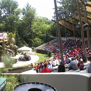 Wings of Wonder Amphitheatre
