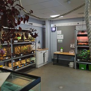 Vivariums - 23/07/2011