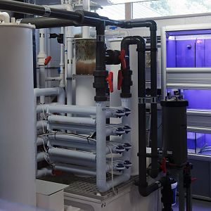 Water Filtration - 23/07/2011