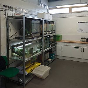 Vivariums - 23/07/2011