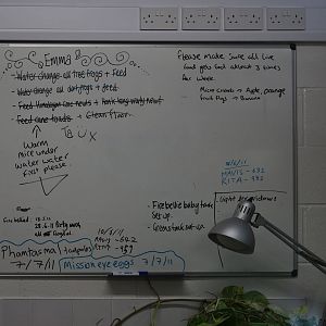 Whiteboard - 23/07/2011