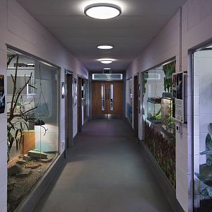 Animal Study Corridor - 23/07/2011
