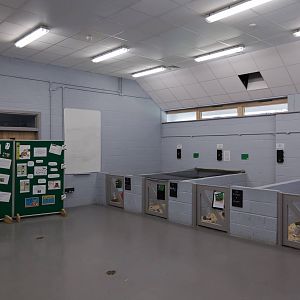 Rabbit Room - 23/07/2011