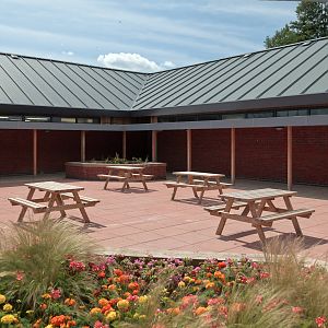 Animal Management Centre Quadrangle - 23/07/2011