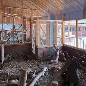 Porcupines/Meerkats and Coatis - 23/07/2011